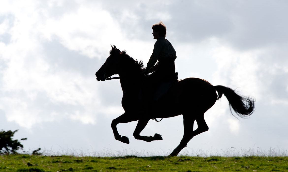 Cheval de guerre