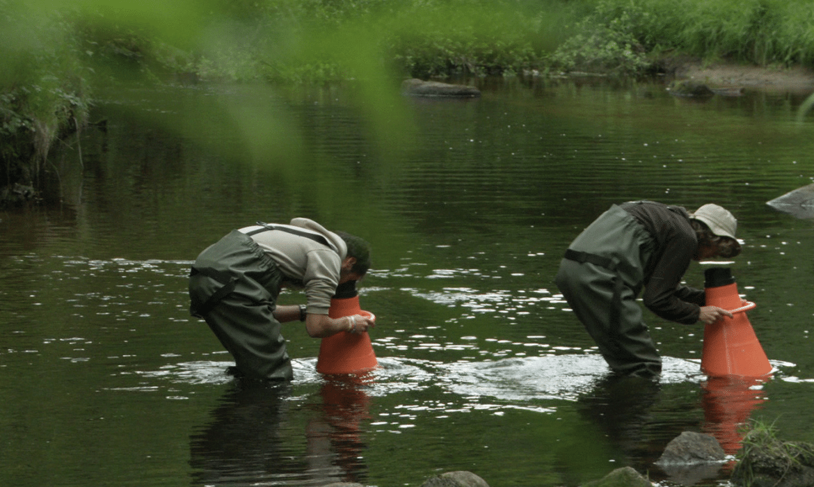 La Ligne de partage des eaux