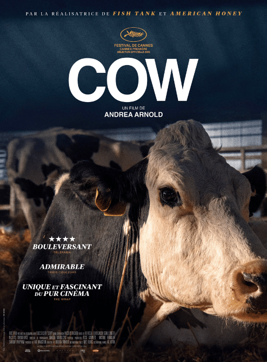 Cow