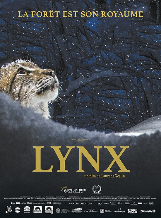 Lynx