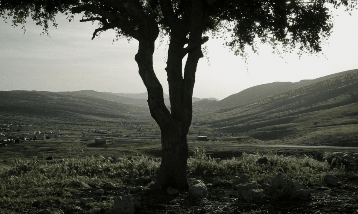 Sinjar, naissance des fantômes