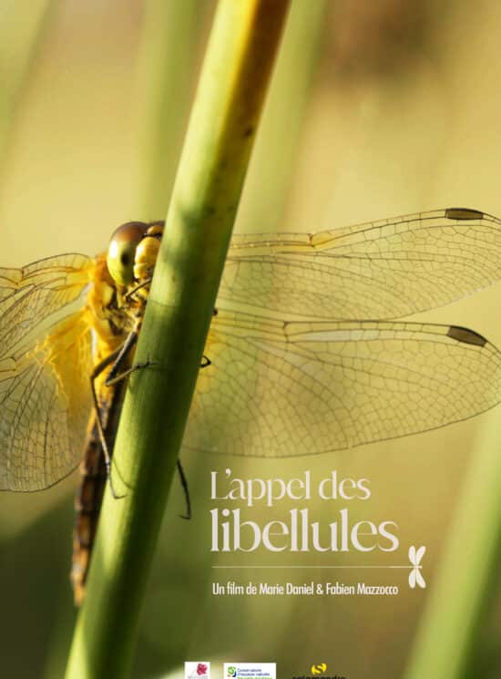 Affiche Appel des libellules