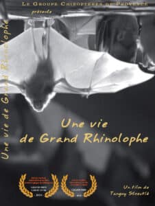 Une vie de grand rhinolophe affiche