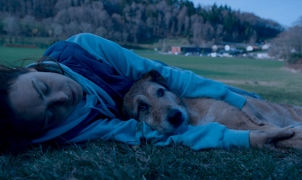 Le procès du chien