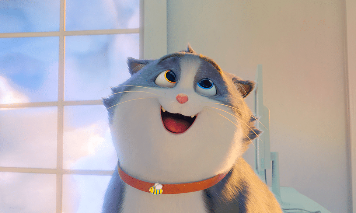 Croquette le chat merveilleux