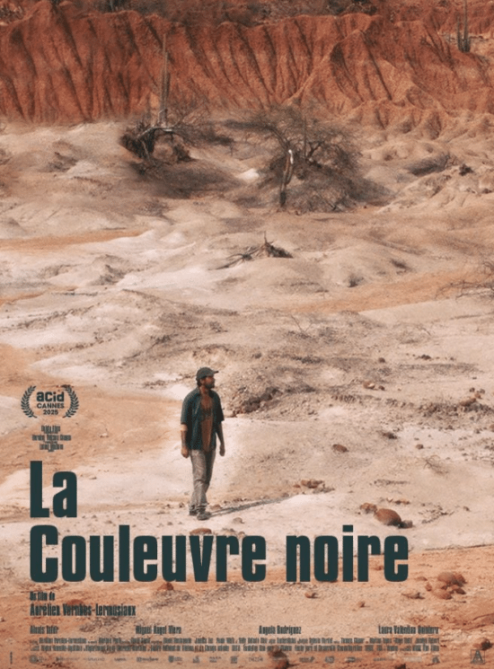 La Couleuvre noire
