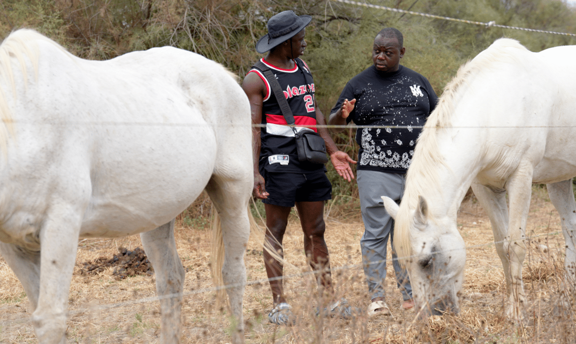 Les vacances de Golo et Ritchie