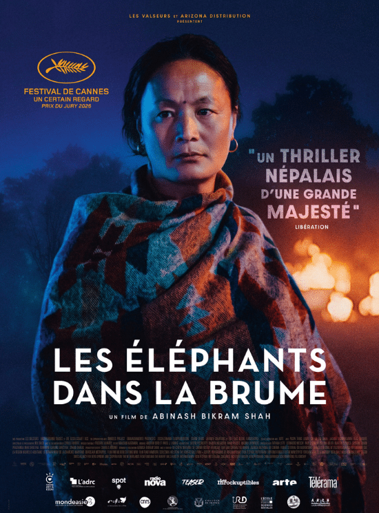 Les éléphants dans la brume